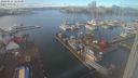 ./images/victoria/wharf/20240212/wharf20240212_124500.jpg