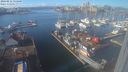 ./images/victoria/wharf/20240212/wharf20240212_131000.jpg
