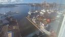 ./images/victoria/wharf/20240212/wharf20240212_144500.jpg