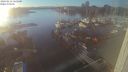 ./images/victoria/wharf/20240212/wharf20240212_165500.jpg