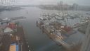 ./images/victoria/wharf/20240213/wharf20240213_082000.jpg
