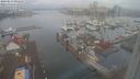 ./images/victoria/wharf/20240213/wharf20240213_085500.jpg