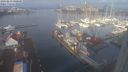 ./images/victoria/wharf/20240213/wharf20240213_090501.jpg