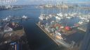 ./images/victoria/wharf/20240213/wharf20240213_112500.jpg
