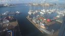 ./images/victoria/wharf/20240213/wharf20240213_113000.jpg