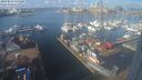 ./images/victoria/wharf/20240213/wharf20240213_114500.jpg