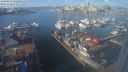 ./images/victoria/wharf/20240213/wharf20240213_120500.jpg
