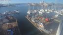 ./images/victoria/wharf/20240213/wharf20240213_131500.jpg