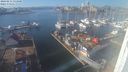 ./images/victoria/wharf/20240213/wharf20240213_133000.jpg