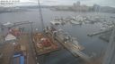 ./images/victoria/wharf/20240214/wharf20240214_085500.jpg