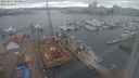 ./images/victoria/wharf/20240214/wharf20240214_104001.jpg