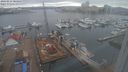 ./images/victoria/wharf/20240214/wharf20240214_104500.jpg