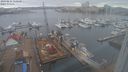 ./images/victoria/wharf/20240214/wharf20240214_110501.jpg
