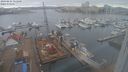./images/victoria/wharf/20240214/wharf20240214_111000.jpg