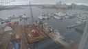 ./images/victoria/wharf/20240214/wharf20240214_111500.jpg
