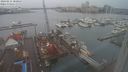 ./images/victoria/wharf/20240215/wharf20240215_081000.jpg
