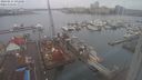 ./images/victoria/wharf/20240215/wharf20240215_091000.jpg