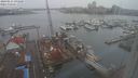 ./images/victoria/wharf/20240215/wharf20240215_093500.jpg