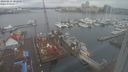 ./images/victoria/wharf/20240215/wharf20240215_102500.jpg