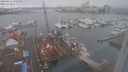 ./images/victoria/wharf/20240215/wharf20240215_112500.jpg