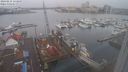 ./images/victoria/wharf/20240215/wharf20240215_113500.jpg