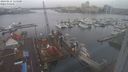 ./images/victoria/wharf/20240215/wharf20240215_114500.jpg