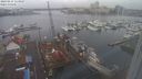 ./images/victoria/wharf/20240215/wharf20240215_115000.jpg