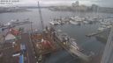 ./images/victoria/wharf/20240215/wharf20240215_120501.jpg