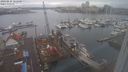 ./images/victoria/wharf/20240215/wharf20240215_121000.jpg