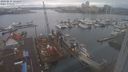 ./images/victoria/wharf/20240215/wharf20240215_121500.jpg