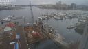 ./images/victoria/wharf/20240215/wharf20240215_153500.jpg
