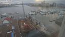 ./images/victoria/wharf/20240215/wharf20240215_165501.jpg