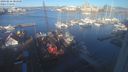 ./images/victoria/wharf/20240216/wharf20240216_084500.jpg