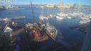 ./images/victoria/wharf/20240216/wharf20240216_091500.jpg