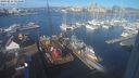 ./images/victoria/wharf/20240216/wharf20240216_101501.jpg
