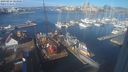 ./images/victoria/wharf/20240216/wharf20240216_103000.jpg