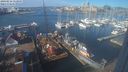 ./images/victoria/wharf/20240216/wharf20240216_113000.jpg