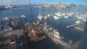 ./images/victoria/wharf/20240216/wharf20240216_113501.jpg