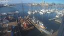 ./images/victoria/wharf/20240216/wharf20240216_114500.jpg