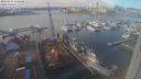 ./images/victoria/wharf/20240216/wharf20240216_131000.jpg