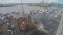 ./images/victoria/wharf/20240216/wharf20240216_133500.jpg