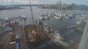 ./images/victoria/wharf/20240216/wharf20240216_135000.jpg