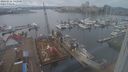 ./images/victoria/wharf/20240216/wharf20240216_142500.jpg