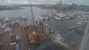 ./images/victoria/wharf/20240216/wharf20240216_143000.jpg