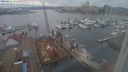 ./images/victoria/wharf/20240216/wharf20240216_143500.jpg