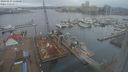 ./images/victoria/wharf/20240217/wharf20240217_110000.jpg