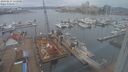./images/victoria/wharf/20240217/wharf20240217_114000.jpg