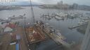 ./images/victoria/wharf/20240217/wharf20240217_123500.jpg