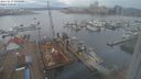 ./images/victoria/wharf/20240217/wharf20240217_124500.jpg