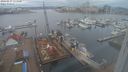./images/victoria/wharf/20240217/wharf20240217_131500.jpg